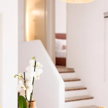 酒店 Mirabelle Luxury 4*